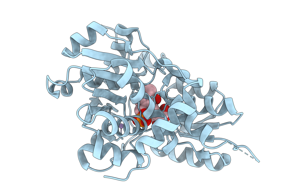 3L6B image