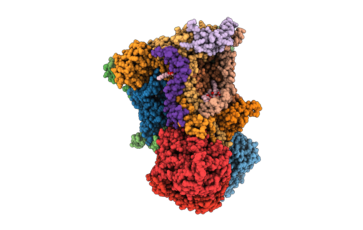 3L75 image