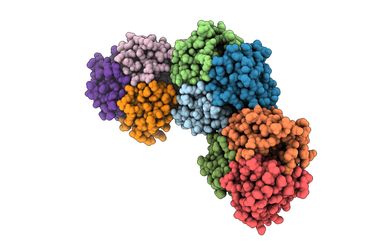 3L7Q image