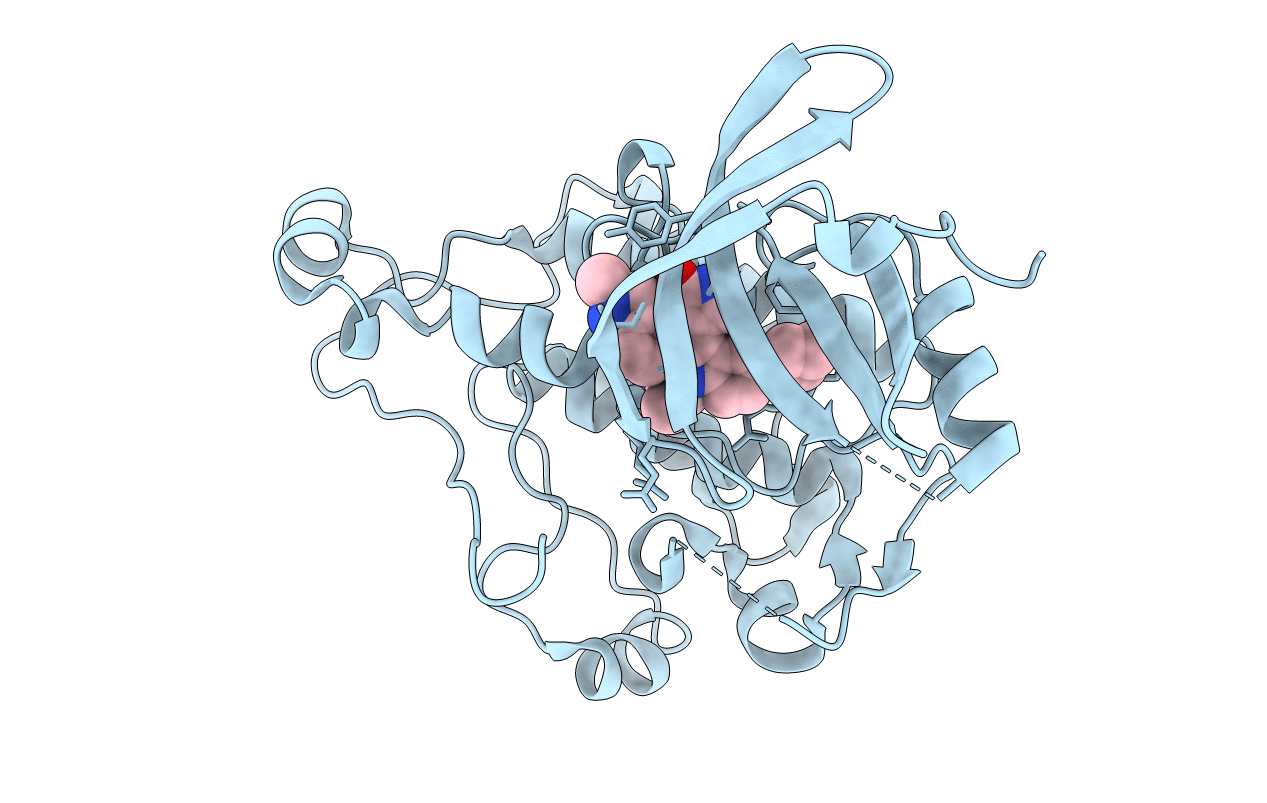 3L8P image