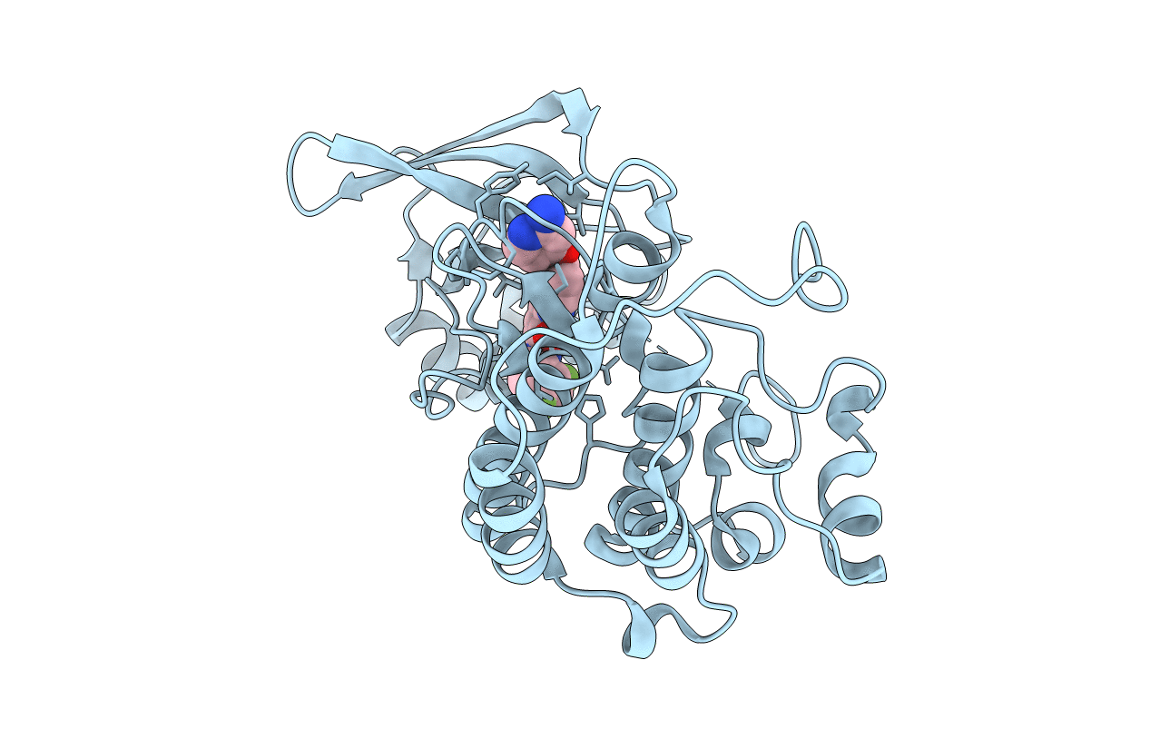 3L8V image