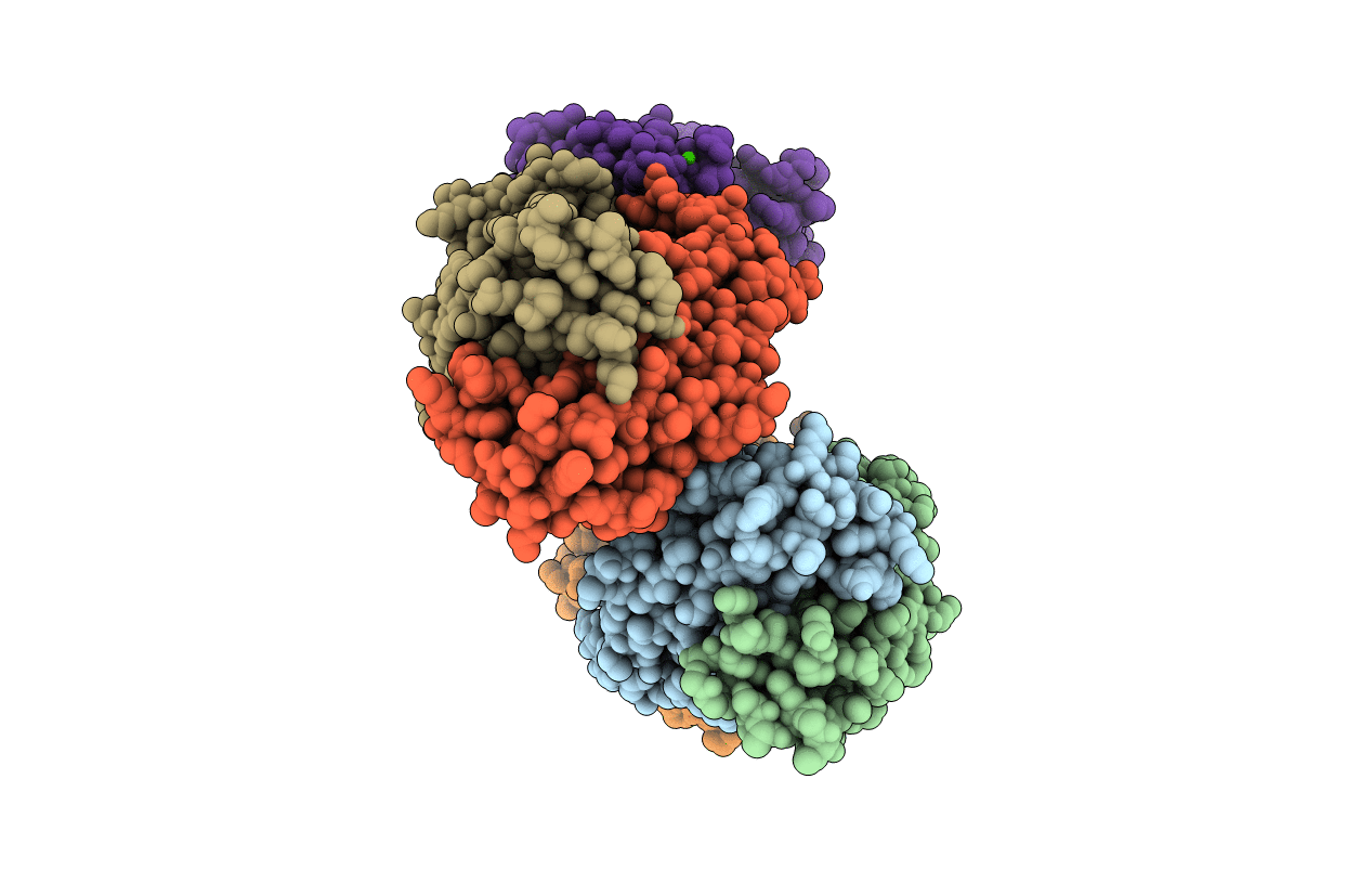 3L95 image