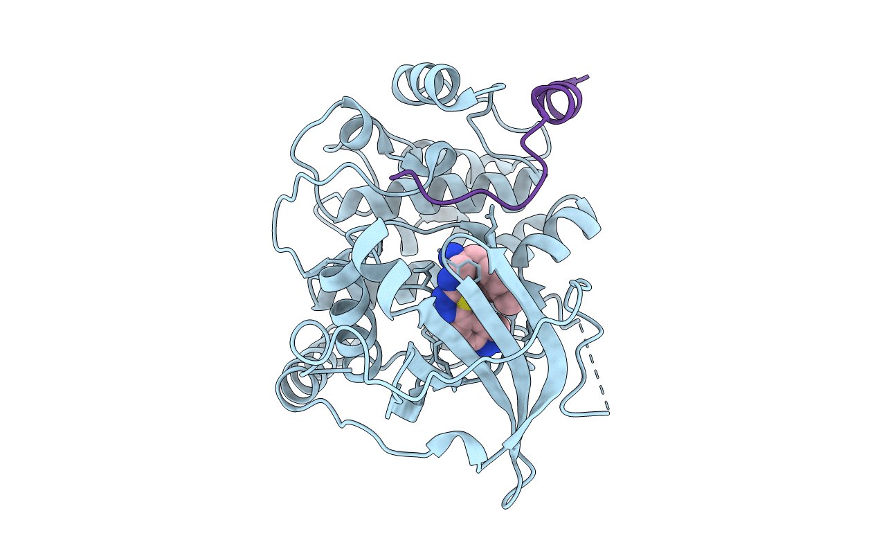 3L9N image