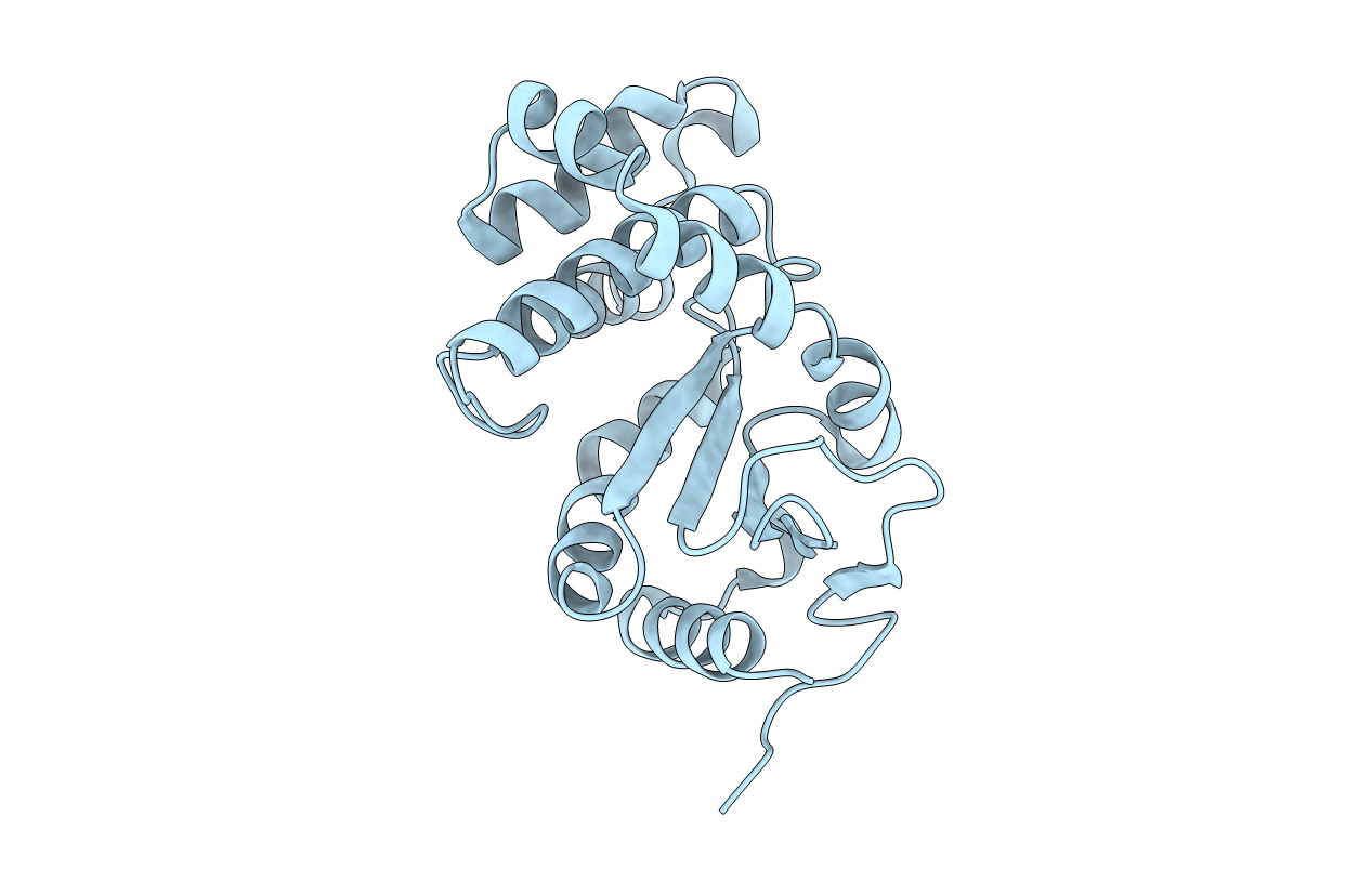 3L9U image