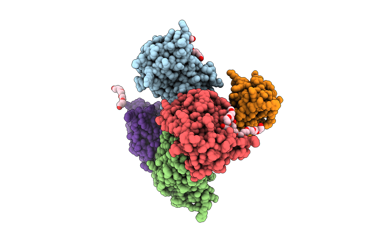 3L9V image