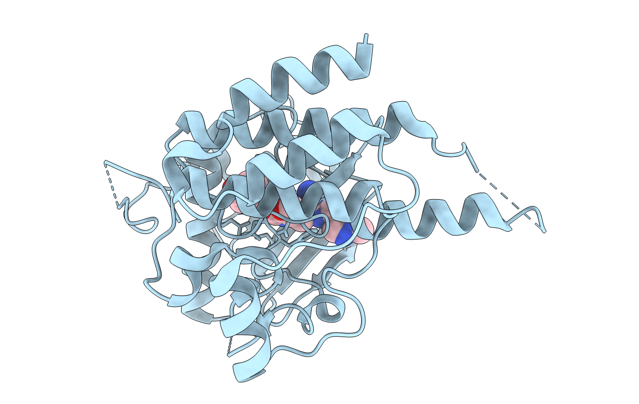 3LCO image