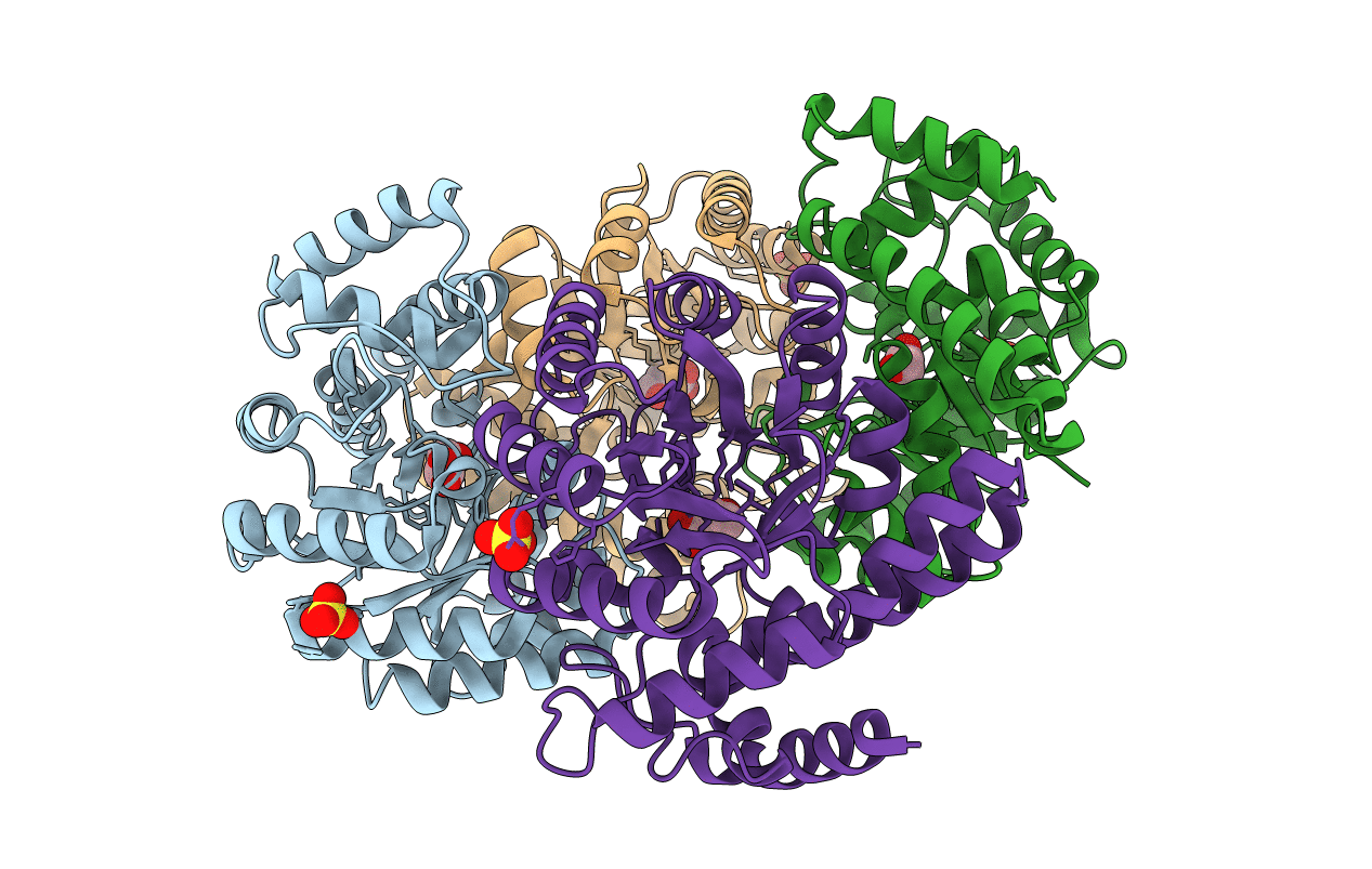 3LCW image