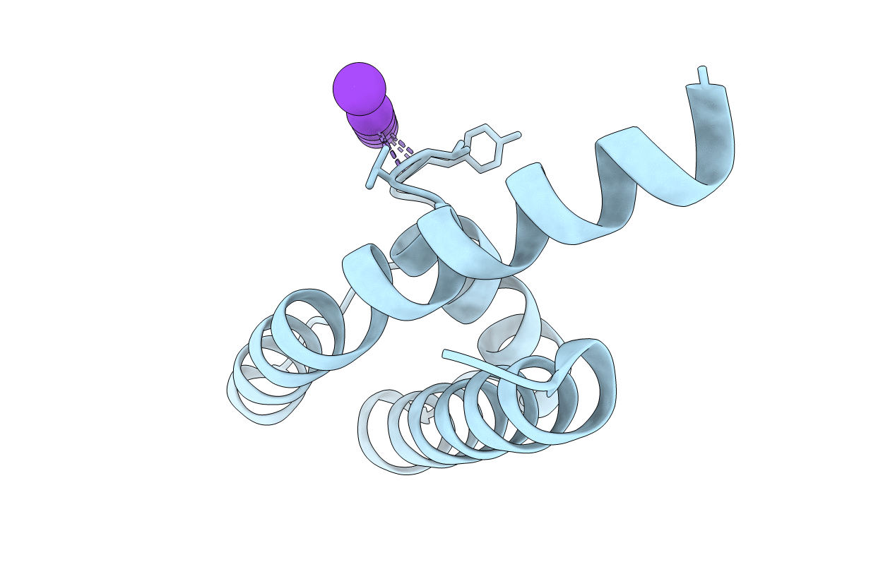 3LDD image