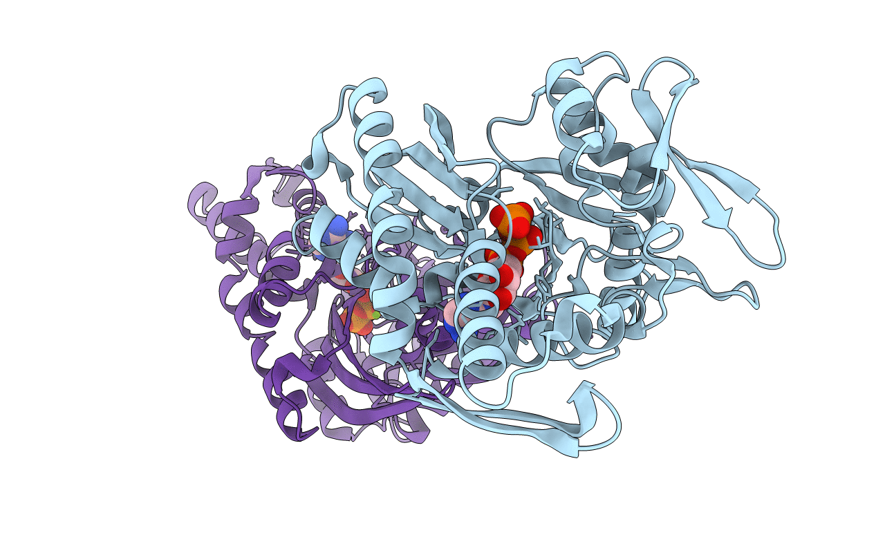 3LDL image