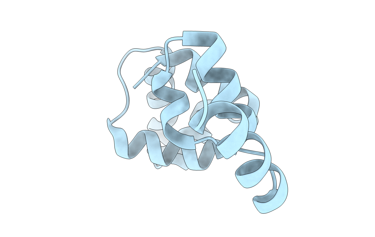 3LFP image