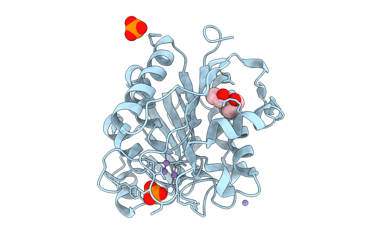 3LHL image