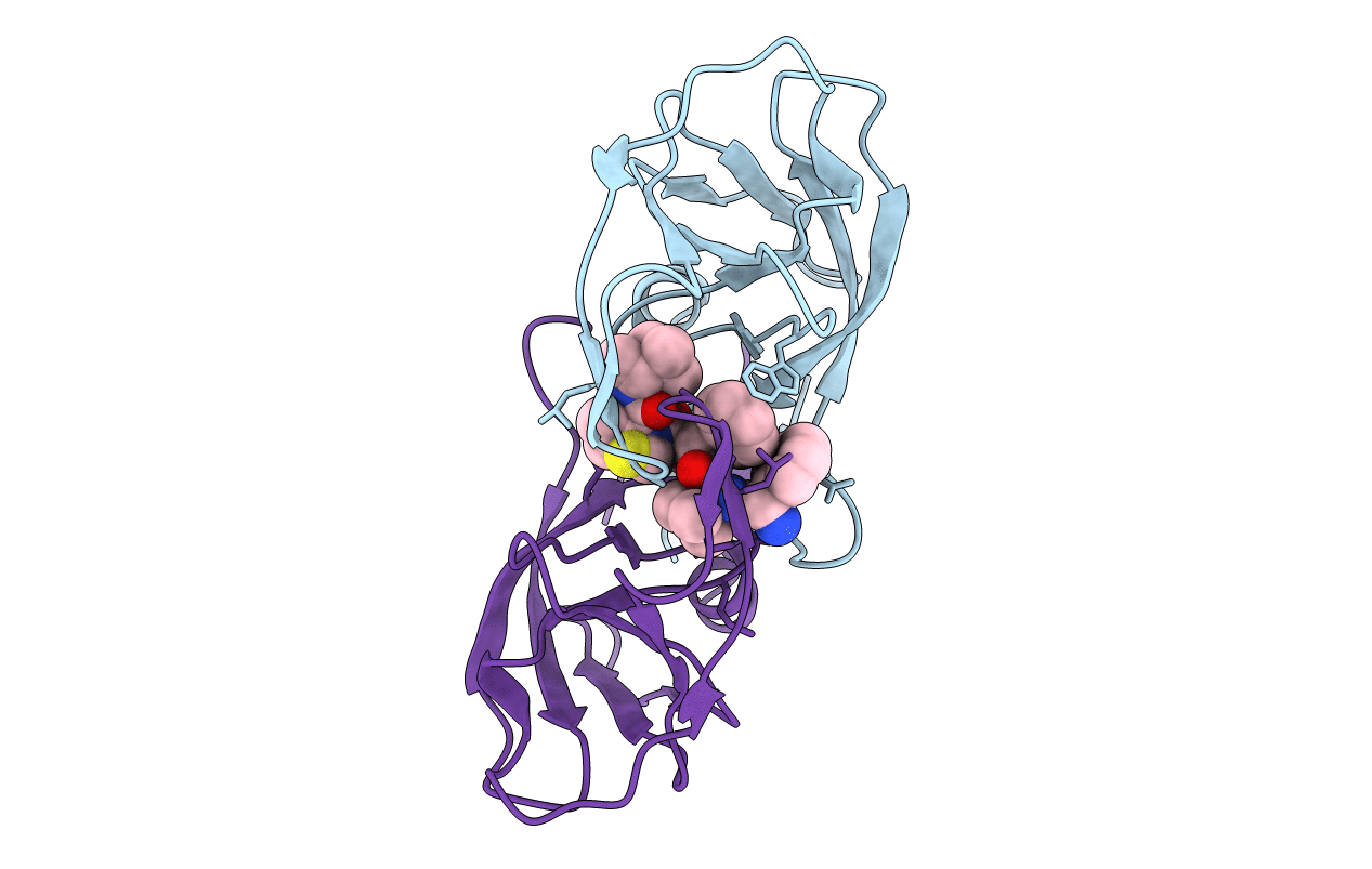 3LIV image