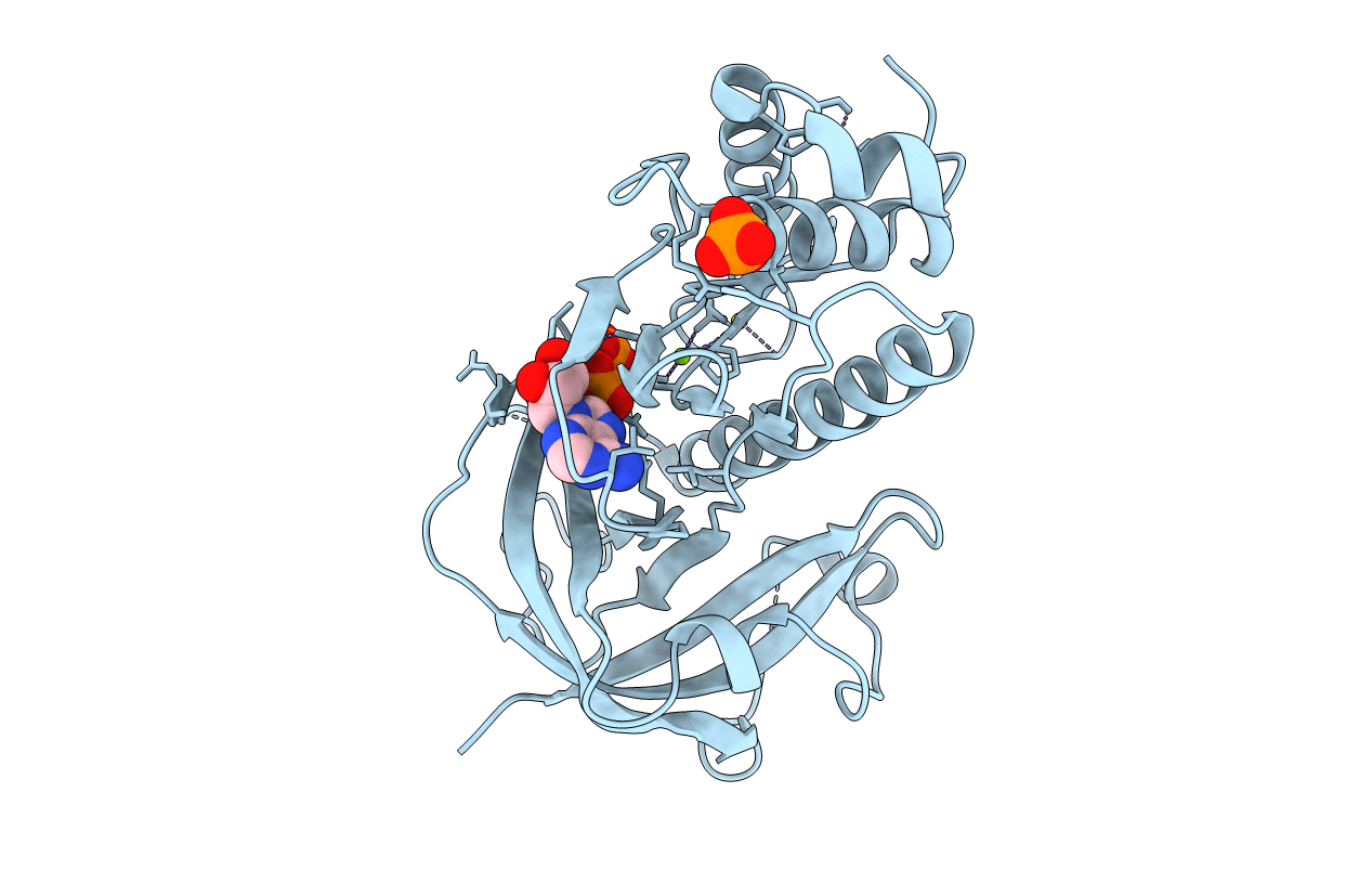 3LKM image