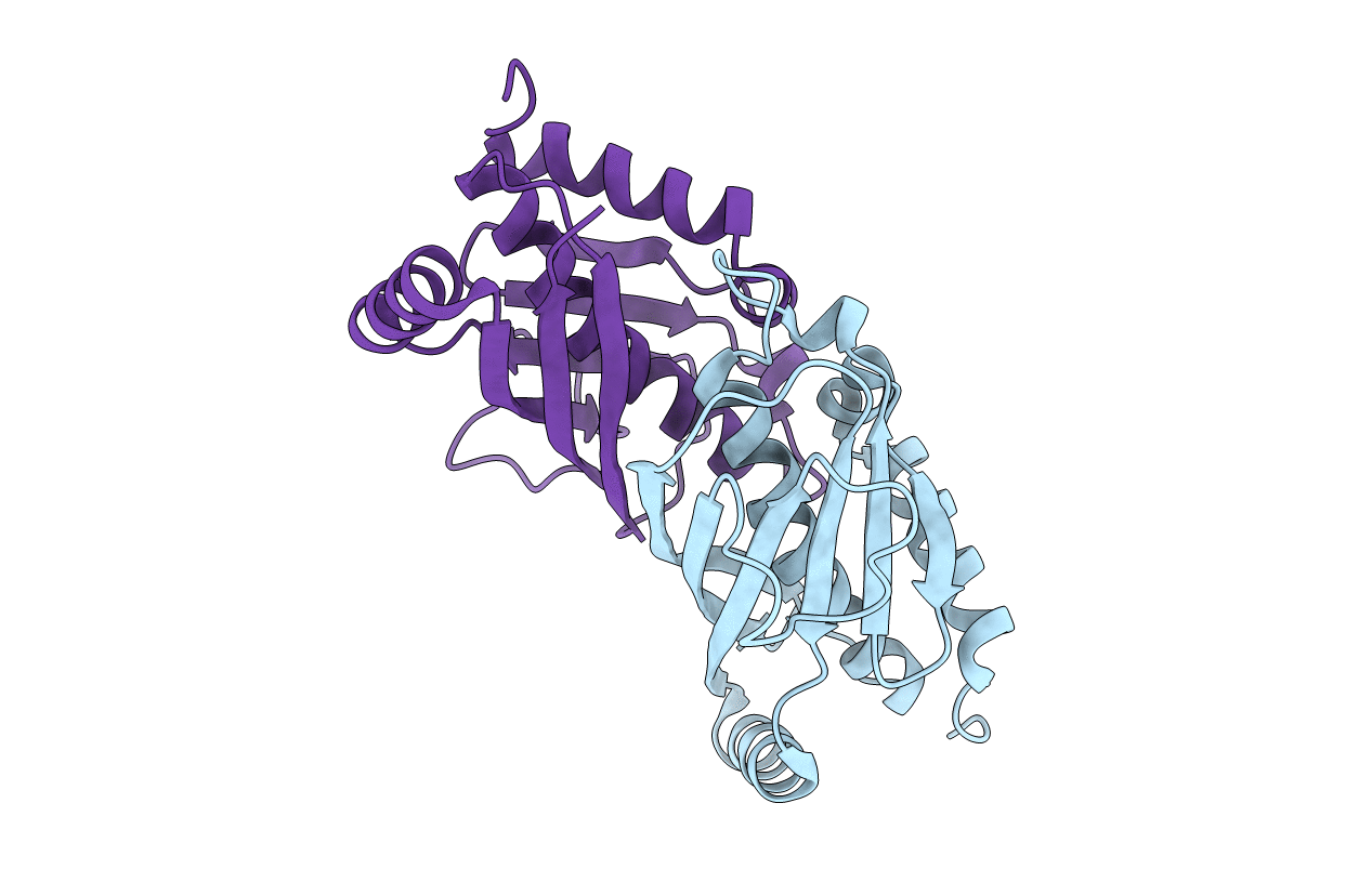 3LMB image