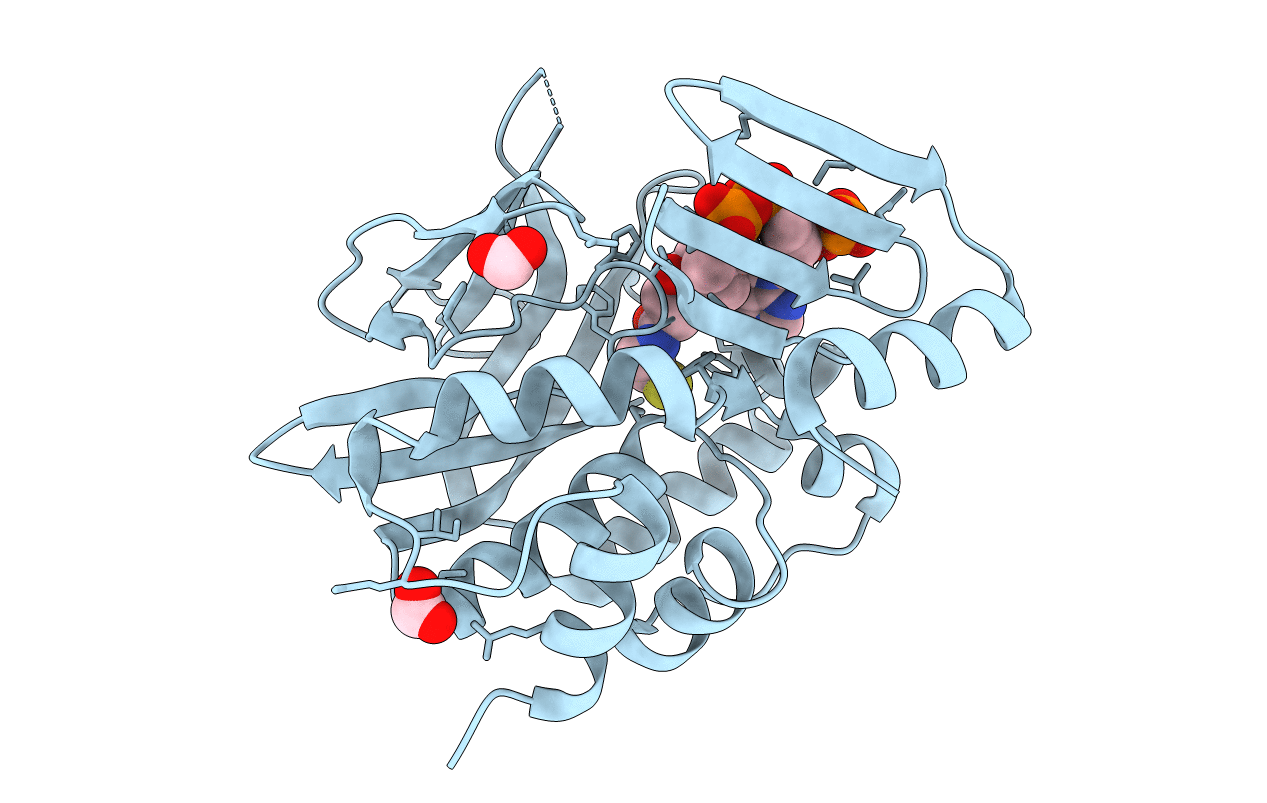3LNB image