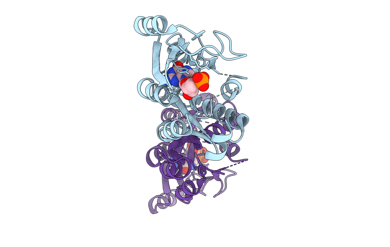 3LNC image