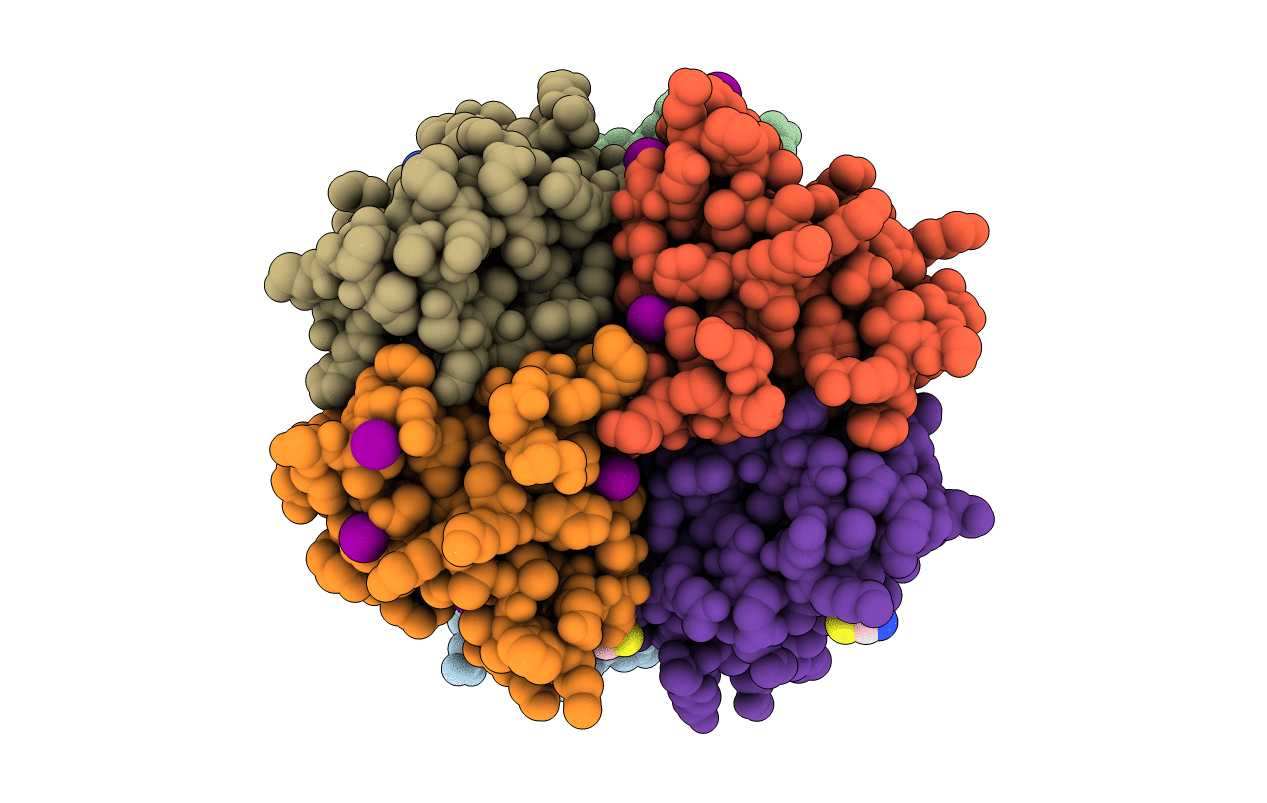 3LNX image