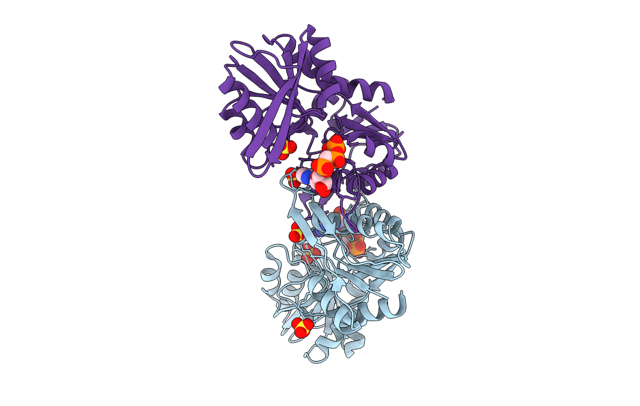 3LPN image