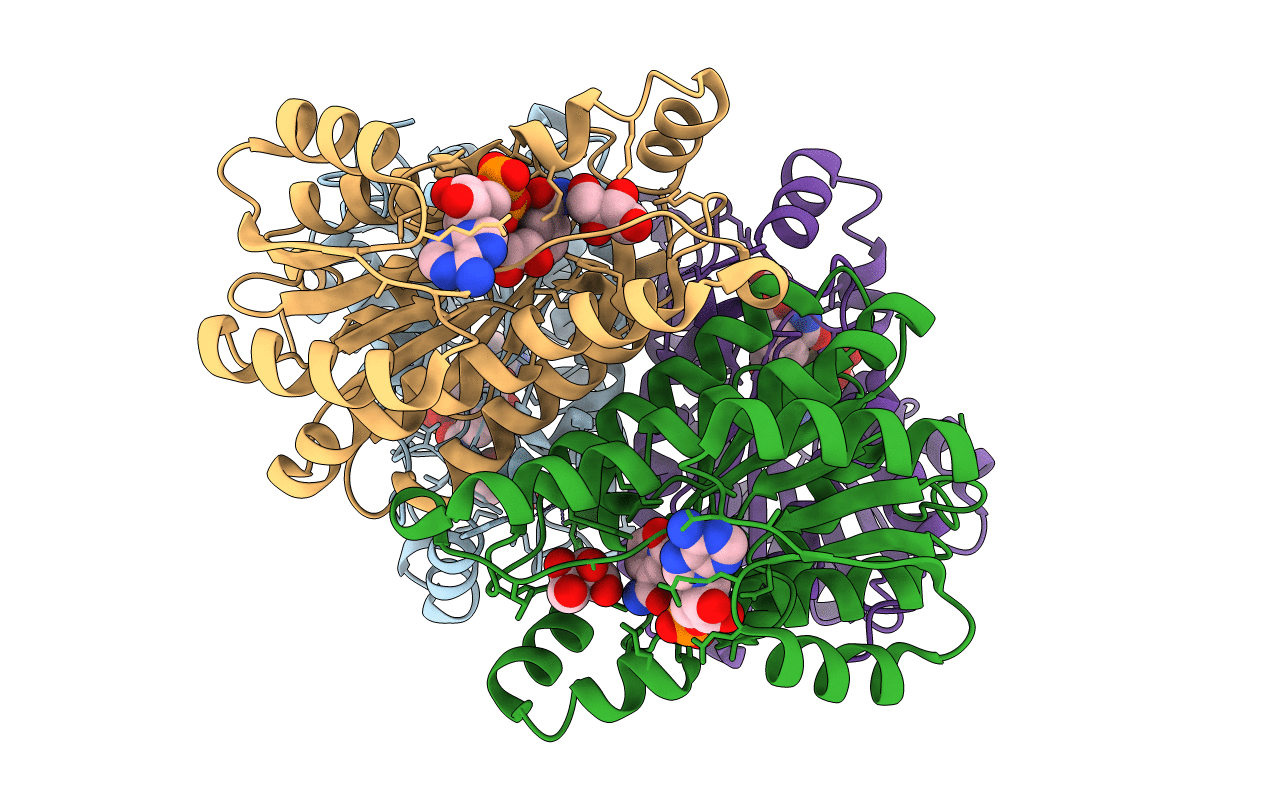 3LQF image