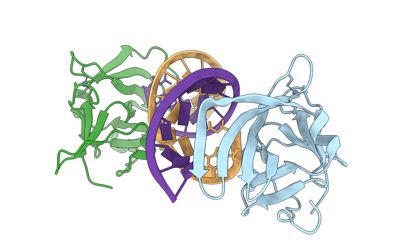 3LRN image