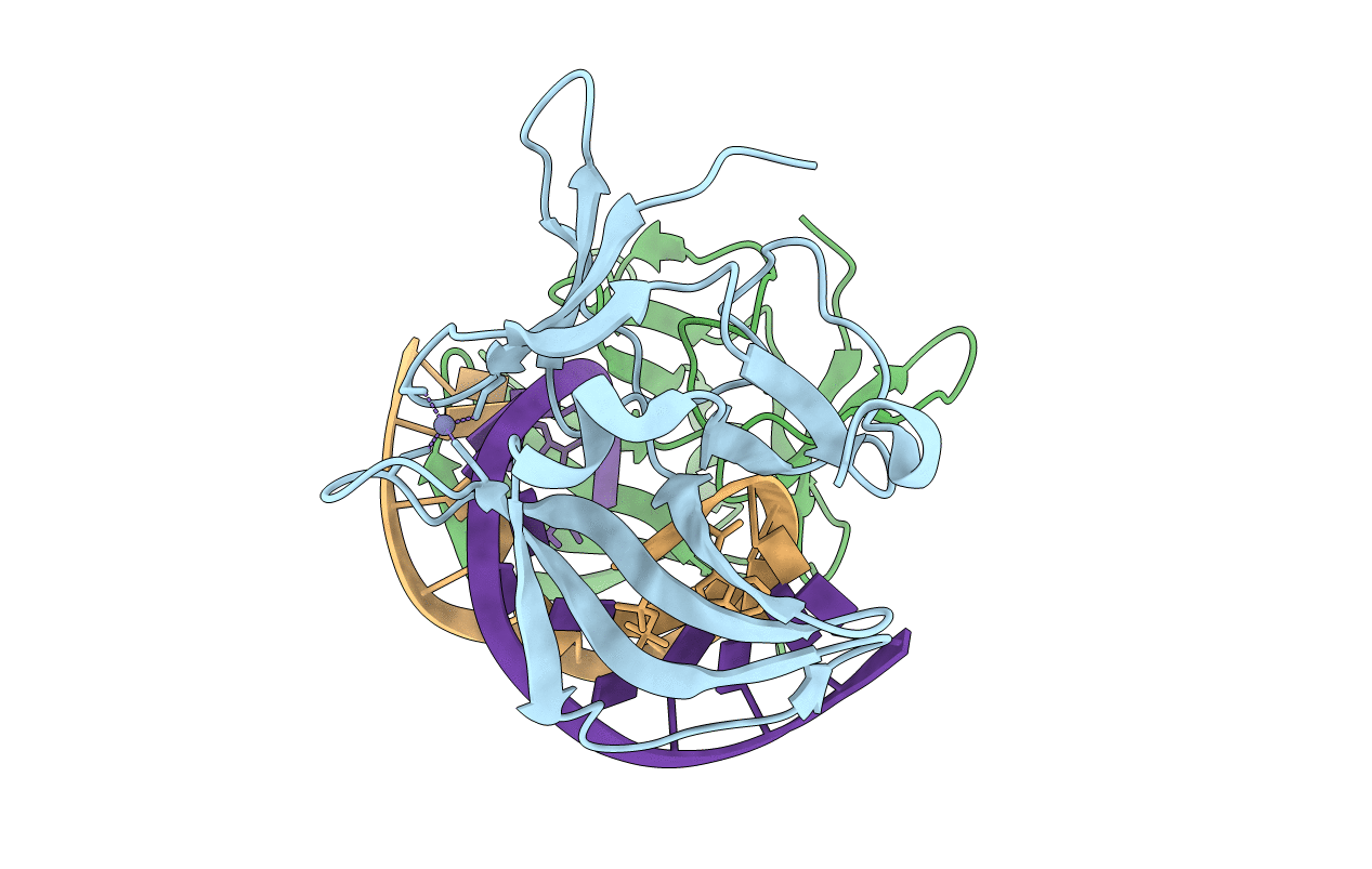 3LRR image