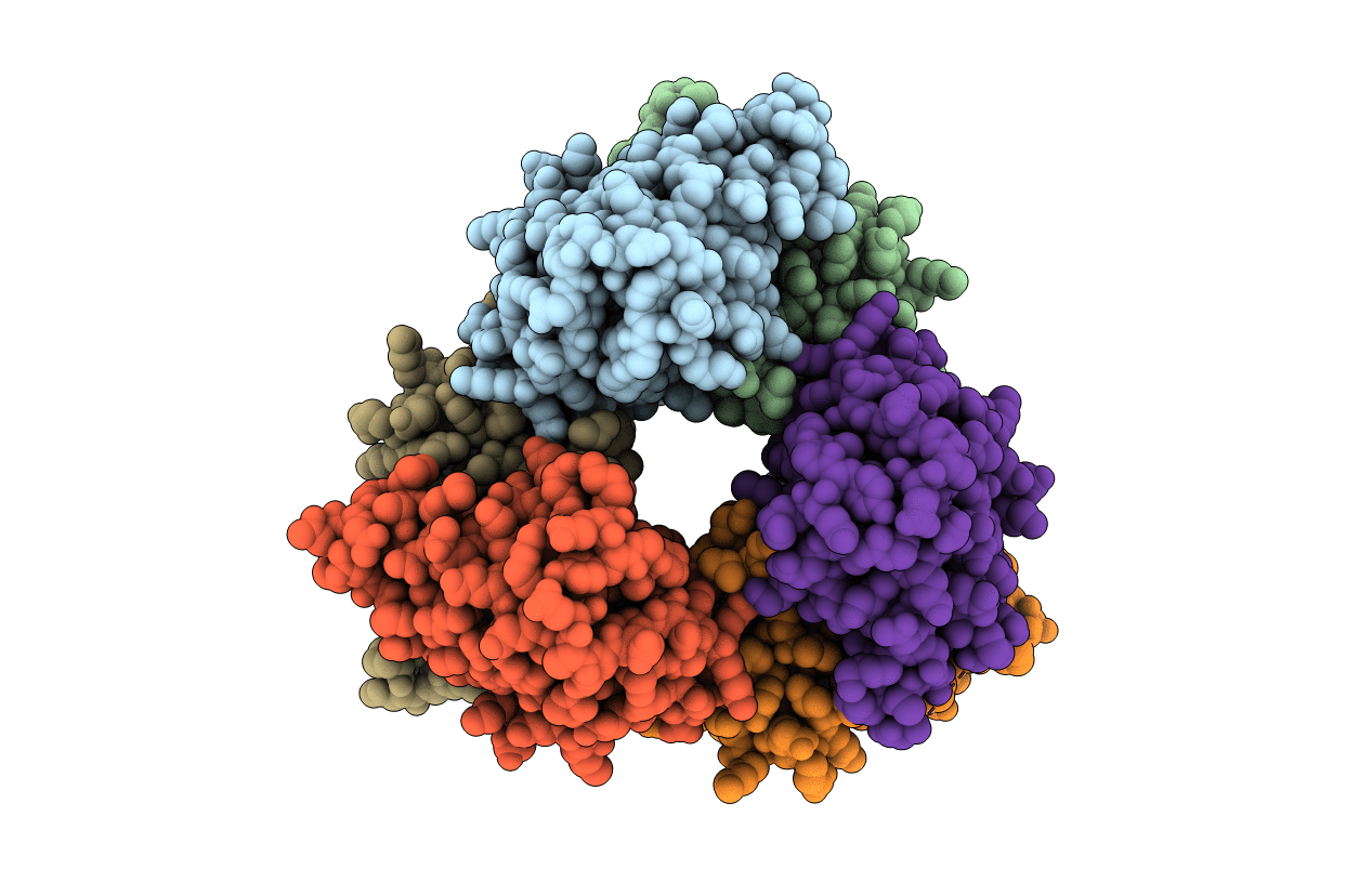 3LRX image