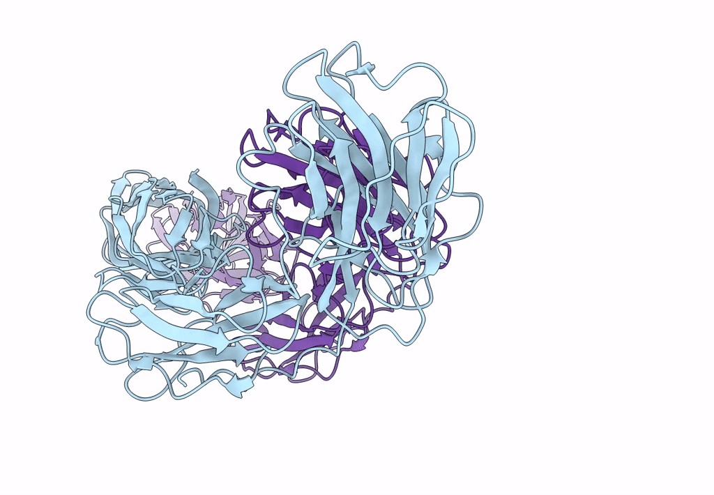 3LSO image