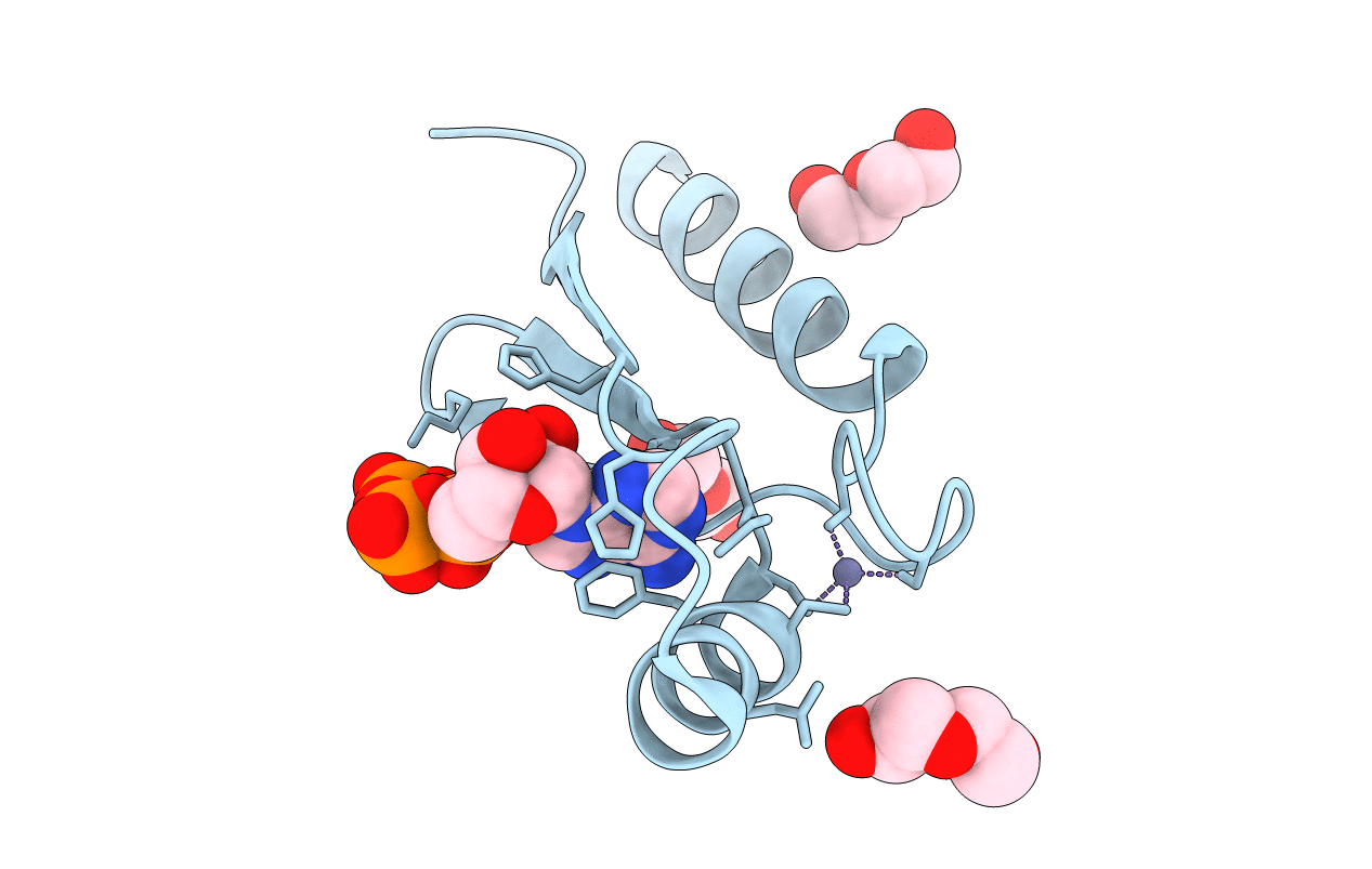 3LTA image