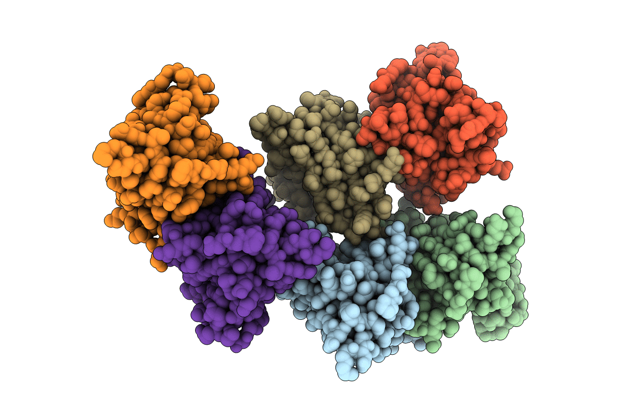 3LTV image