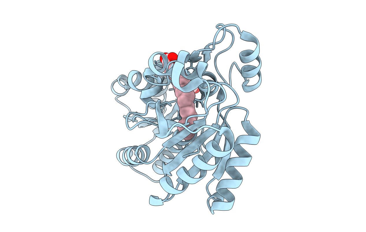 3LUP image