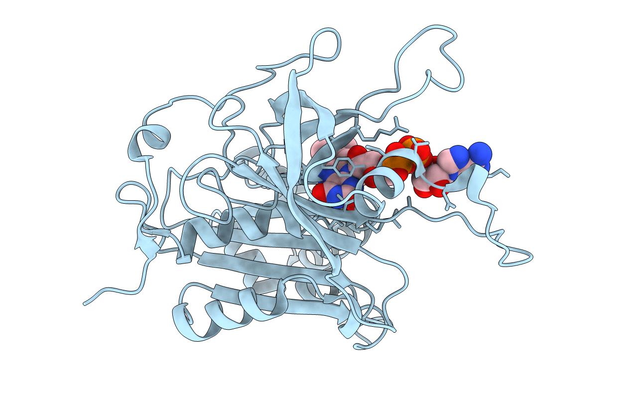 3LVB image