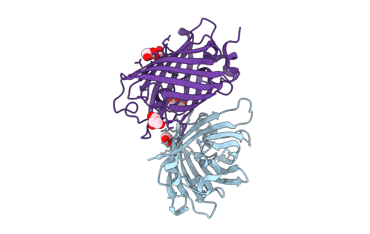 3LVC image
