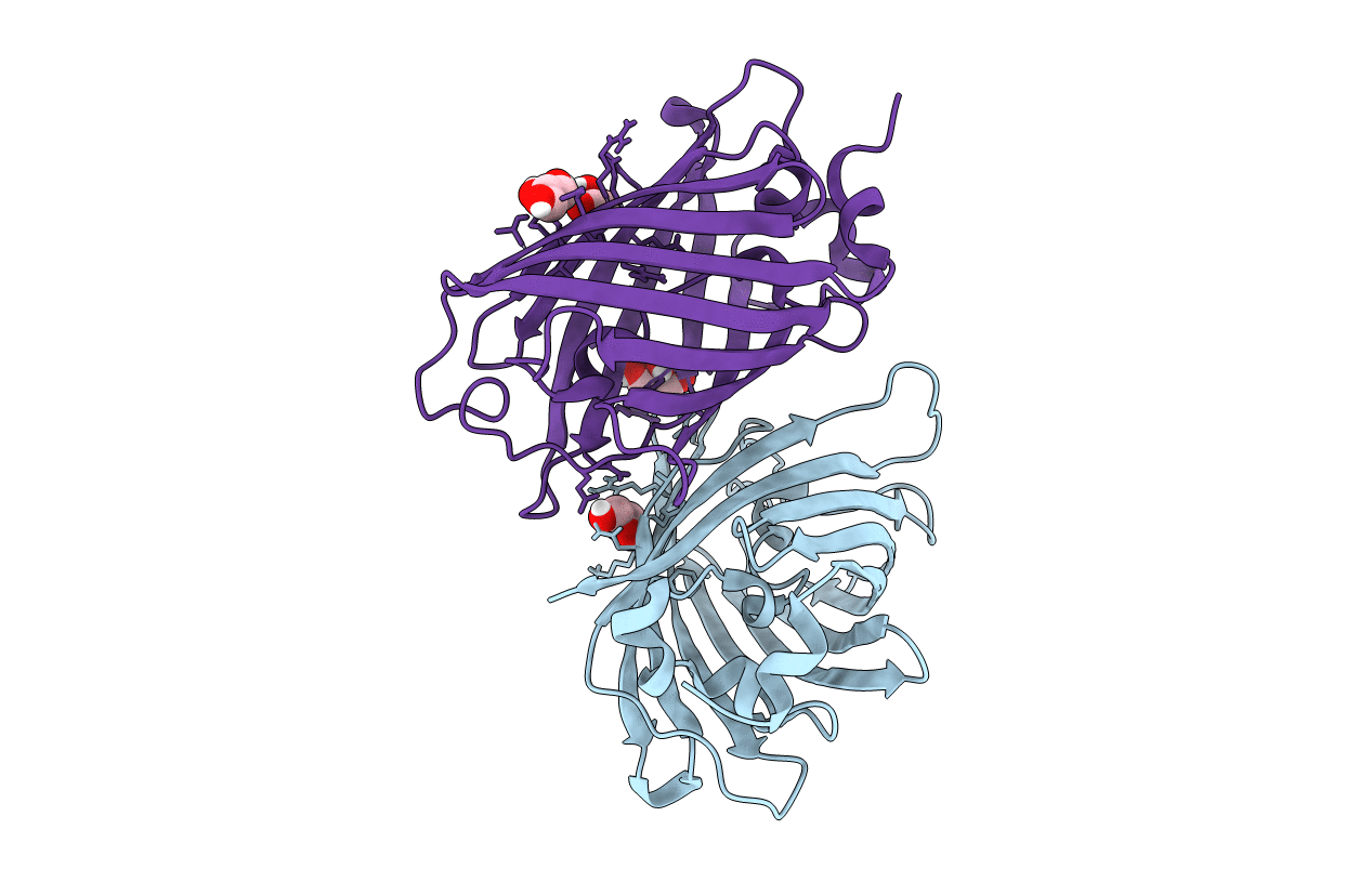 3LVD image
