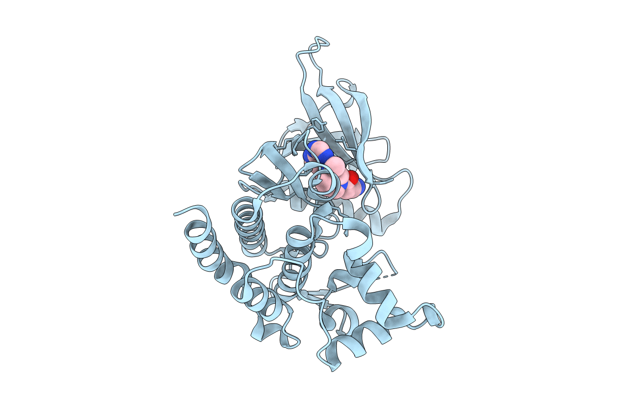 3LXN image