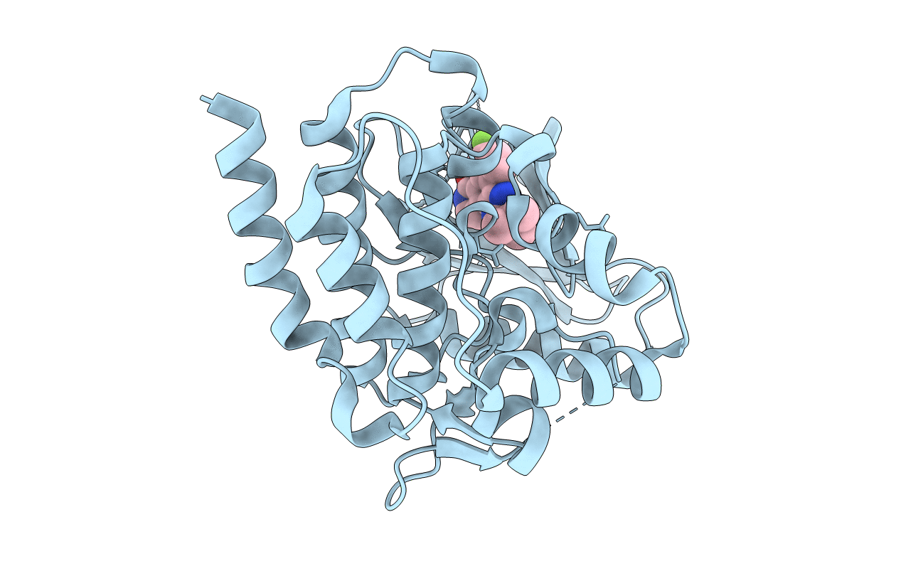 3LXP image