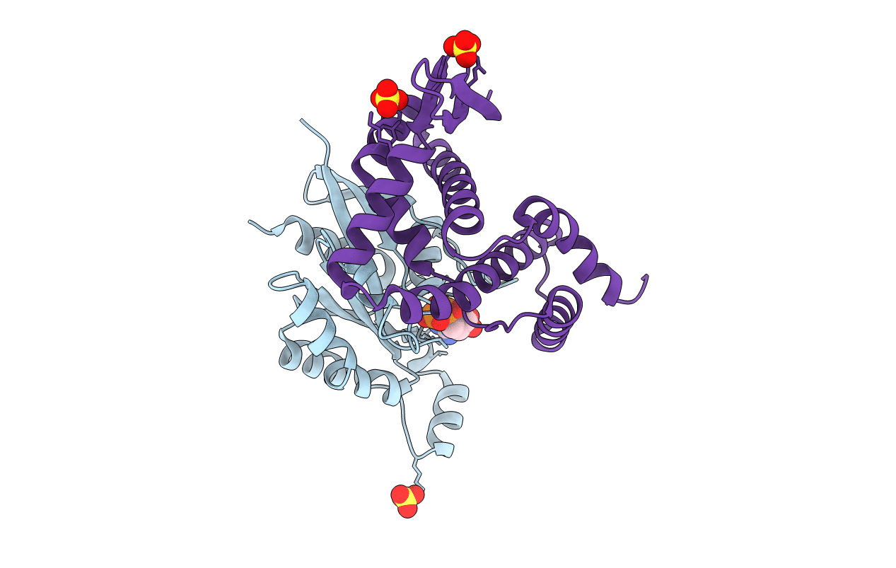 3LXR image