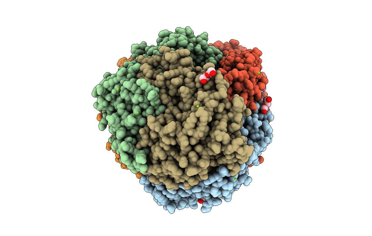3M2U image