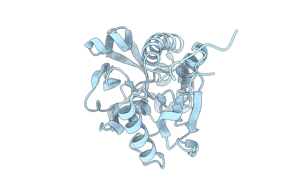 3M3P image