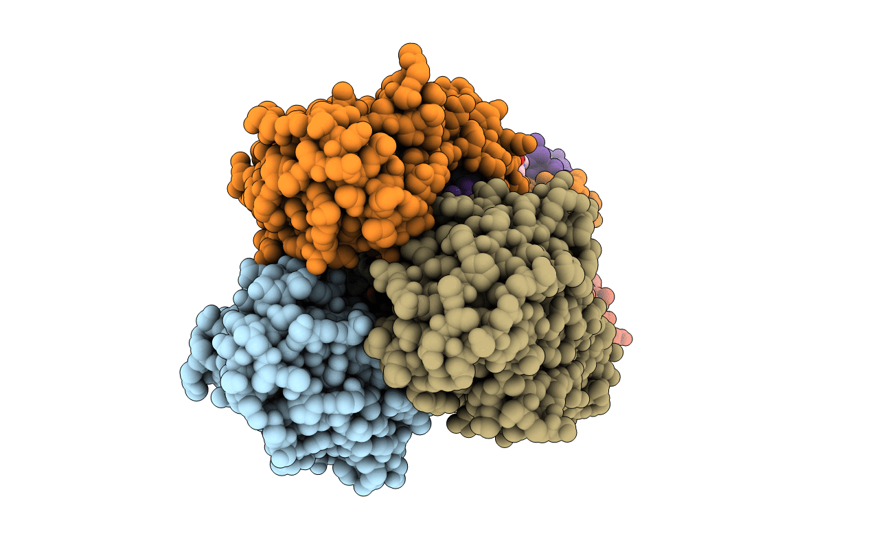 3M5G image