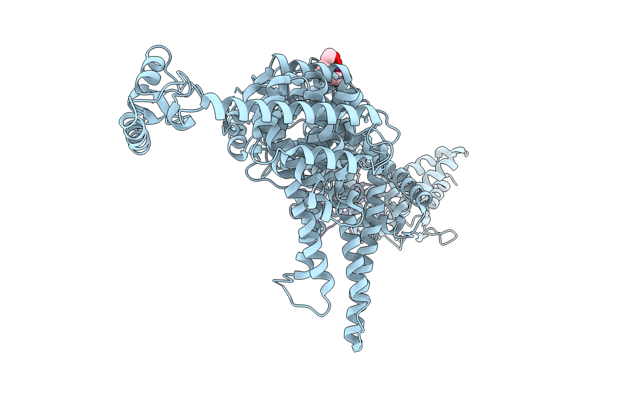 3M62 image