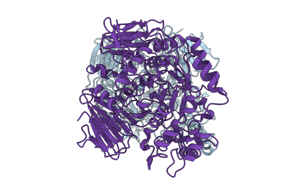 3M6D image