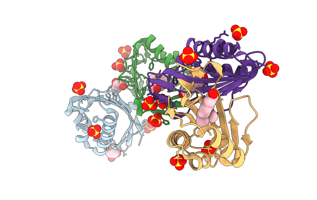 3M8C image