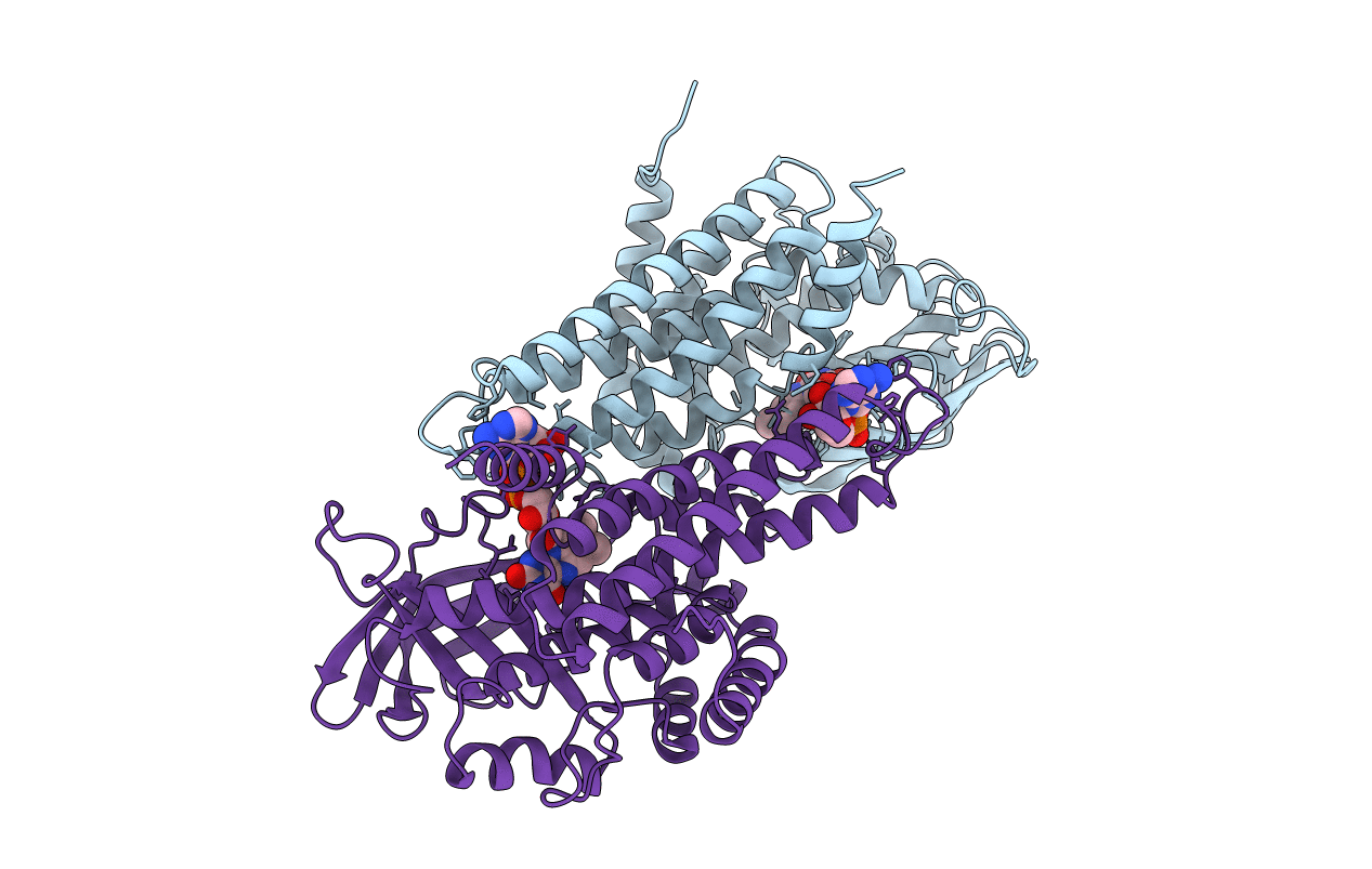 3MDD image