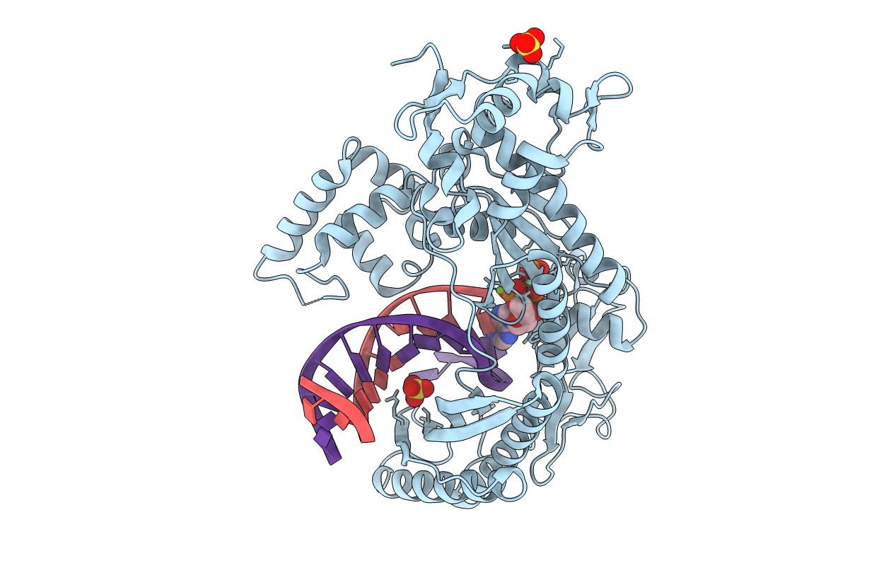 3MFI image
