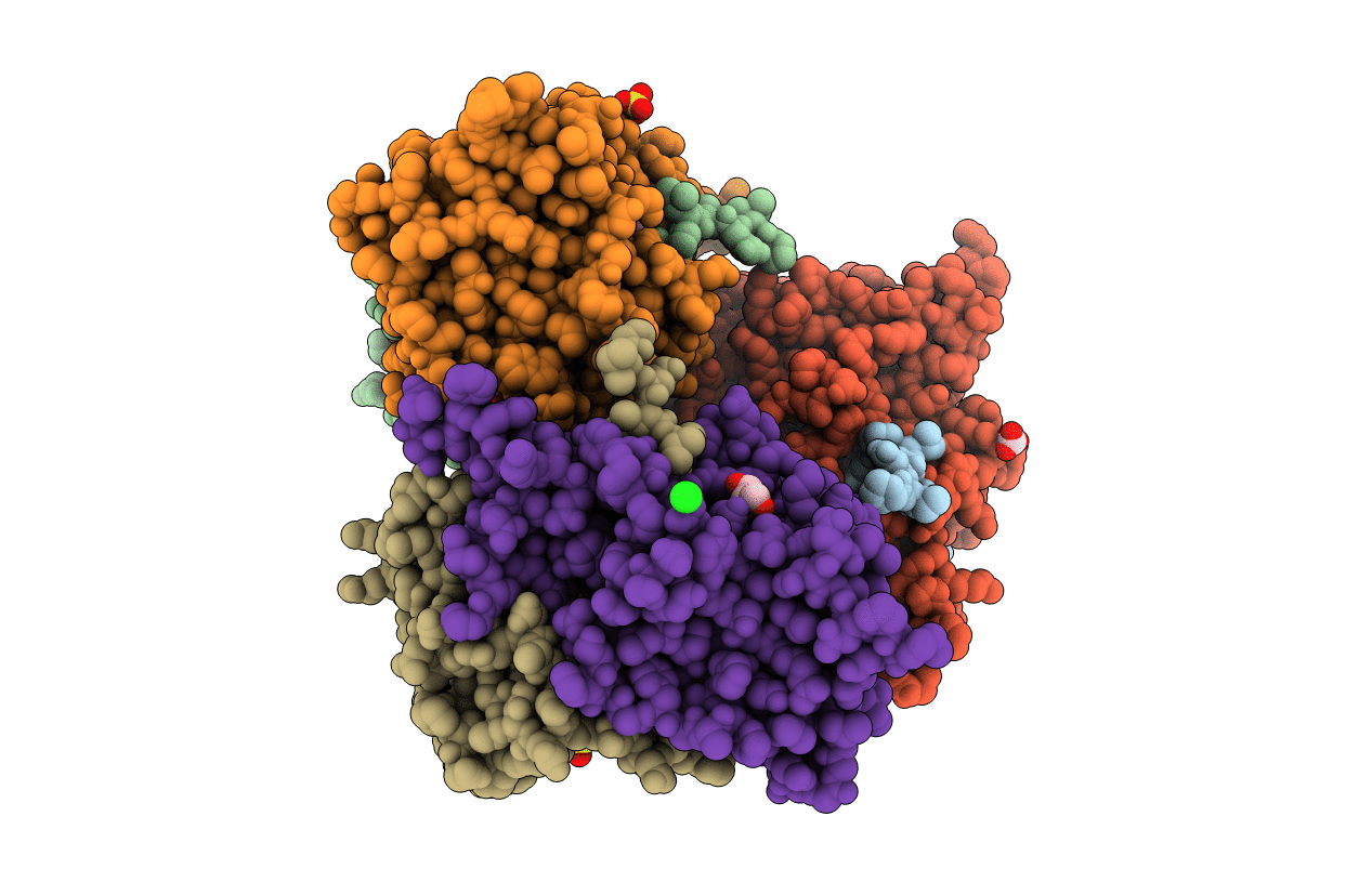 3MFL image