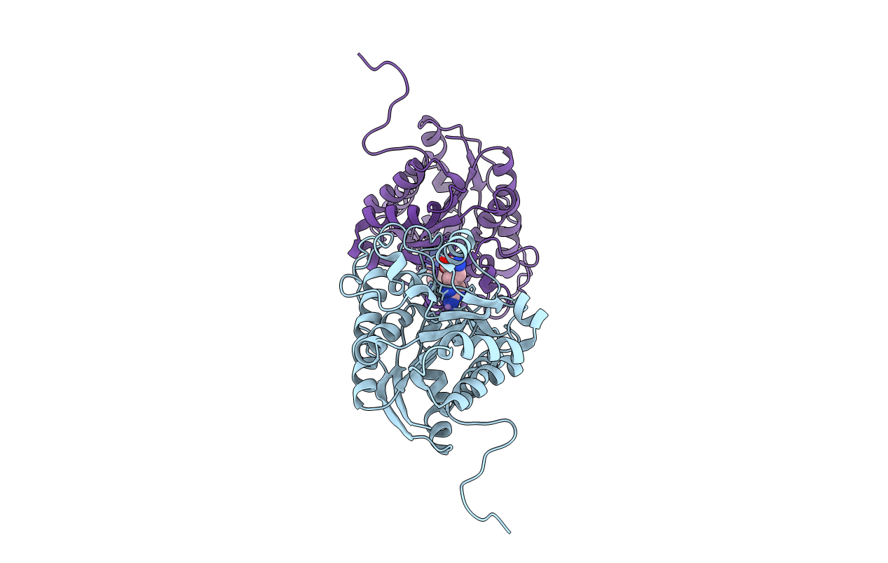 3MFV image