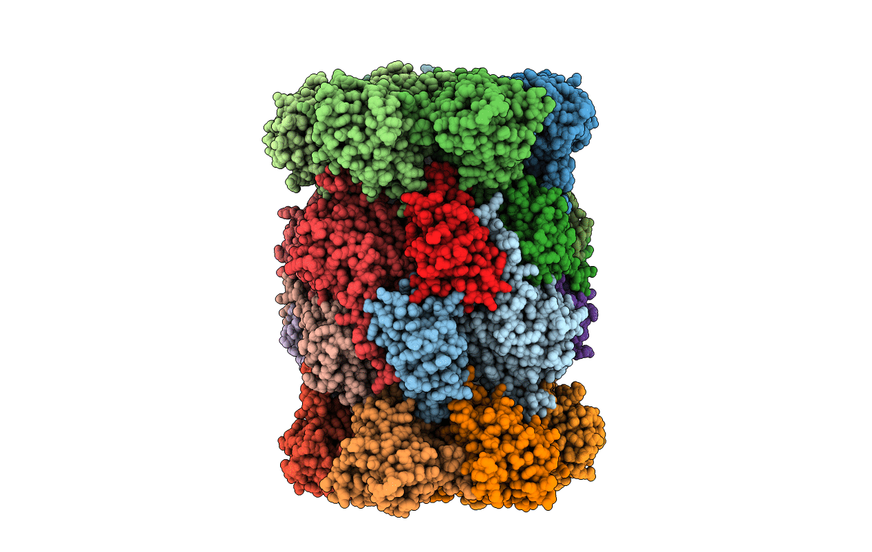 3MG6 image