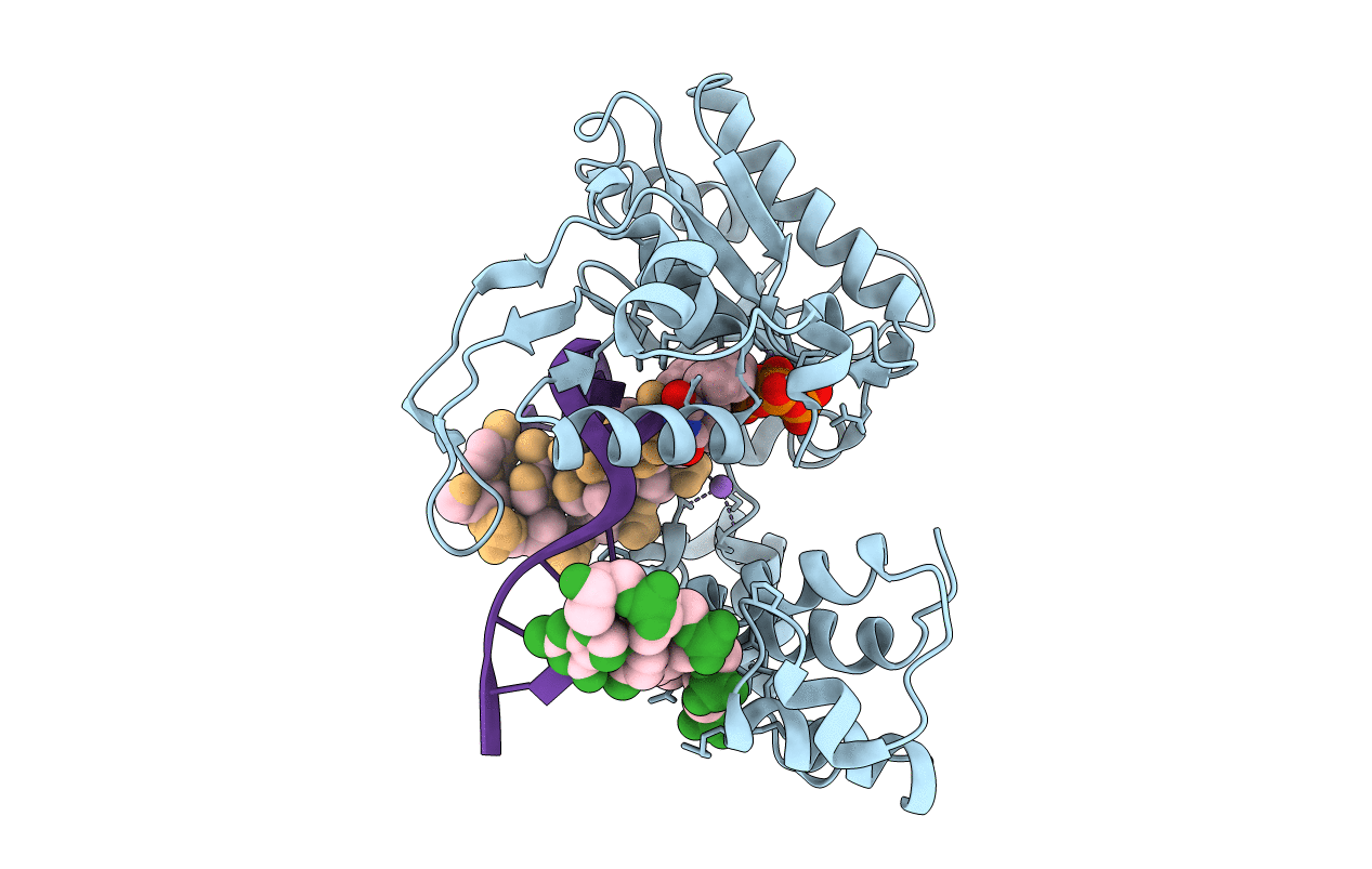 3MGI image