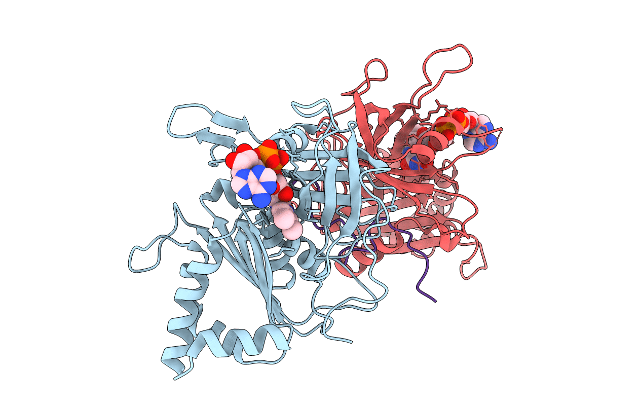 3MHP image