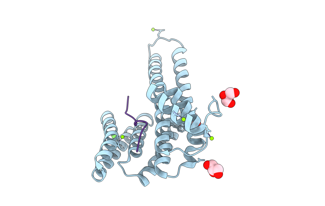 3MHR image